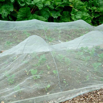 Fleece and crop covers