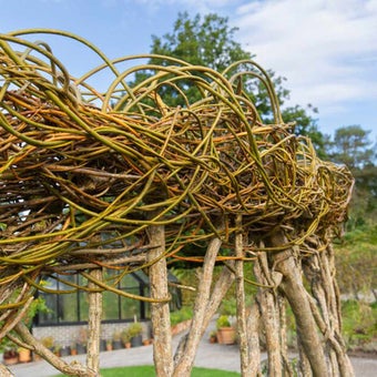 Living structures: creating and maintaining