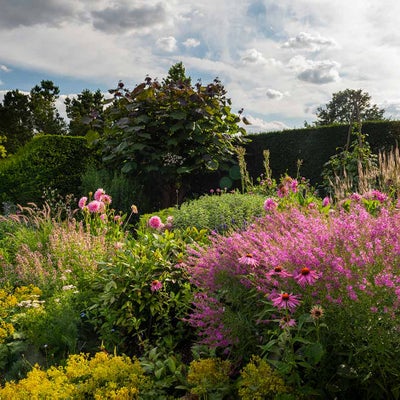 Structural hedges form a strong backbone to this colour filled border 