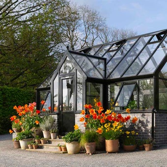 Greenhouses: choosing