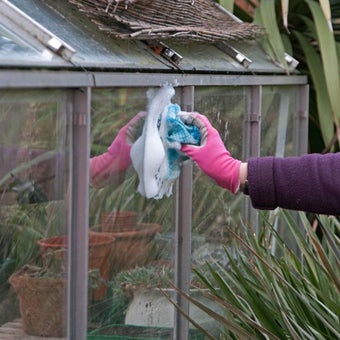 Greenhouse cleaning