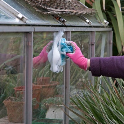 Greenhouse cleaning