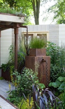 911 guide to rain gardens