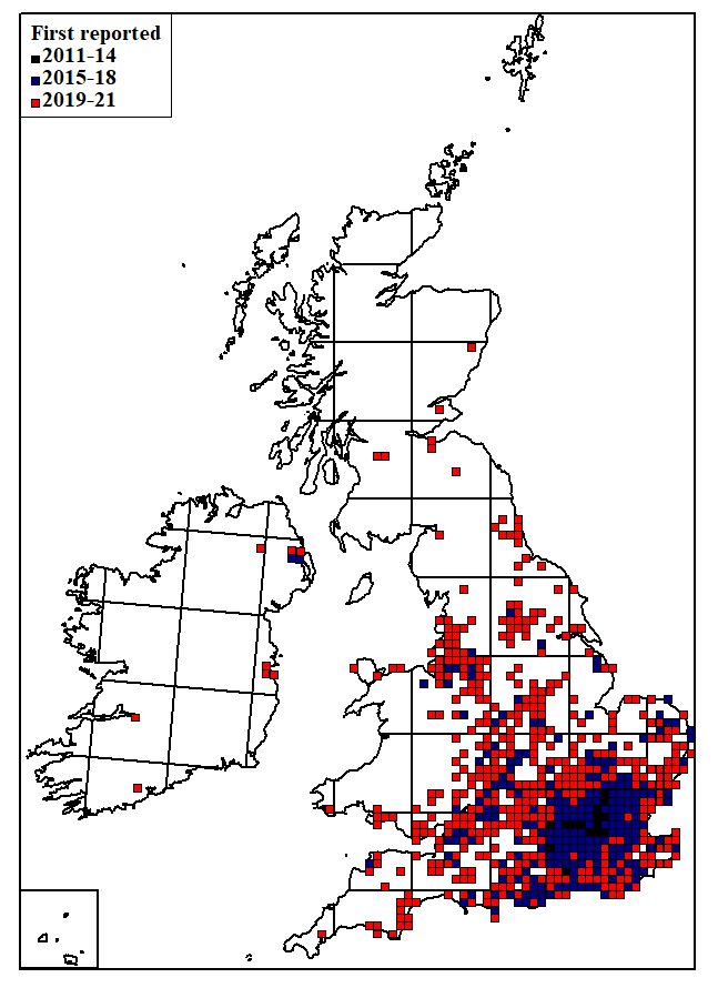Thumbnail for slide 2