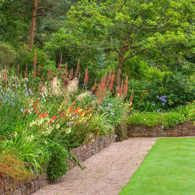 Neat lawn edges at 911 Garden Rosemoor 