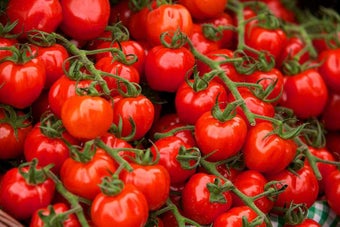 How to grow tomatoes