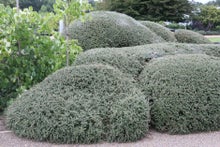 Read the guide? Choose your box alternative