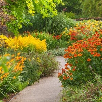 A hot-themed border creates vibrancy