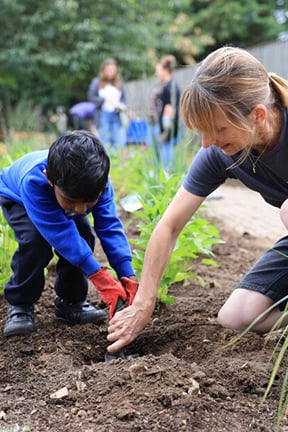 How to get children interested in gardening