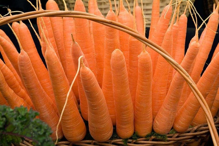 Buy carrots at RHSplants.co.uk