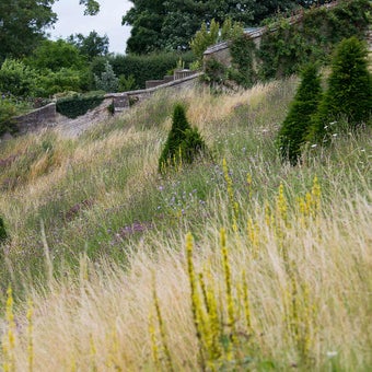 Steep banks and slopes