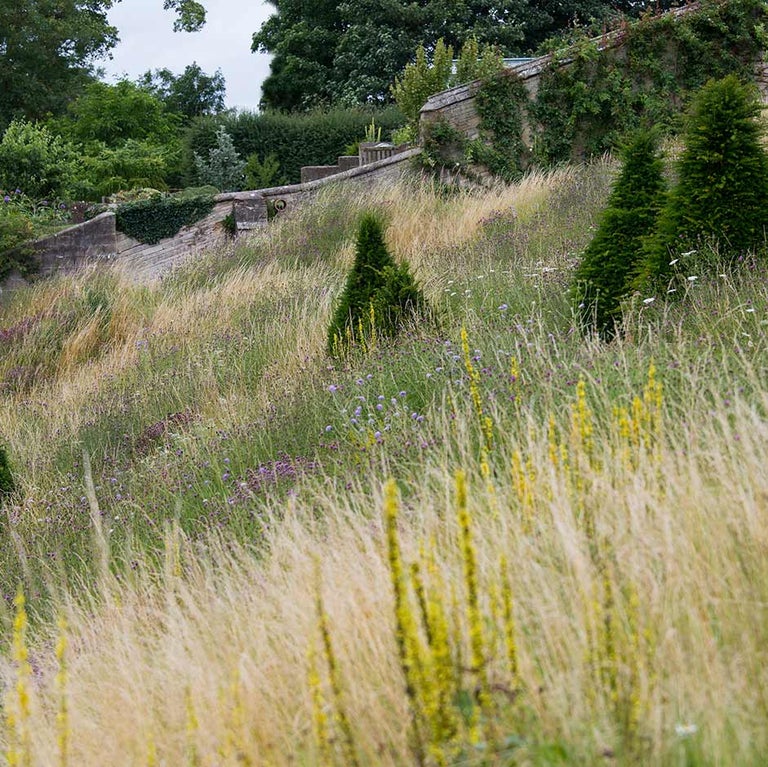 Steep banks and slopes