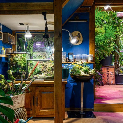 Artificial lighting helps plants thrive indoors