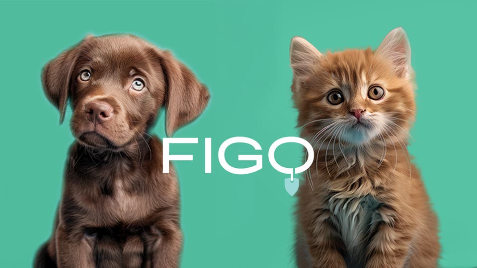 Dentsu wins Figo Pet pitch in the Benelux and Germany