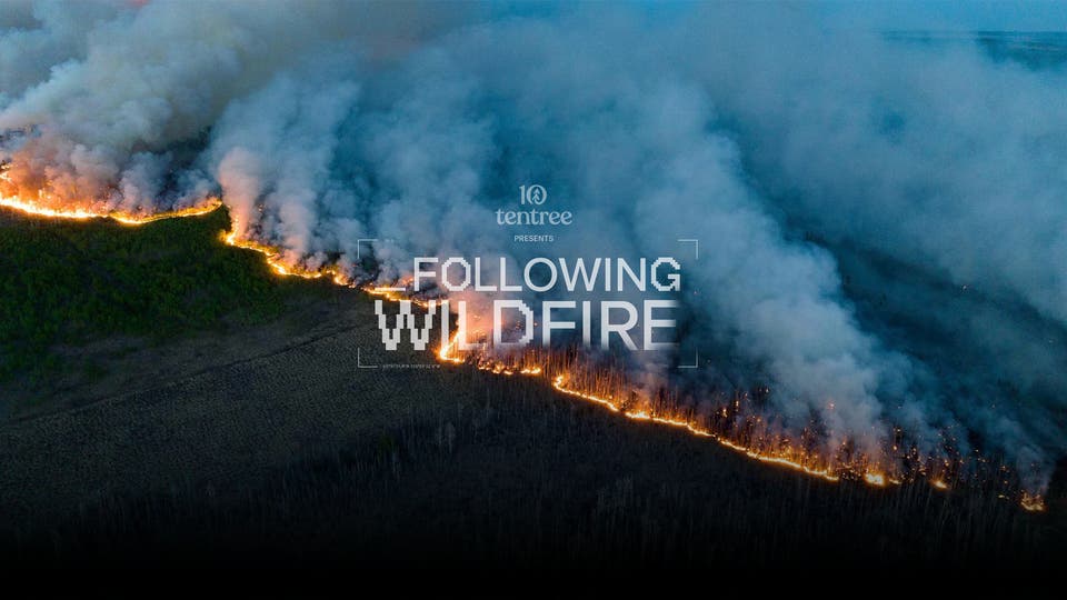 Following Wildfire Hero Image