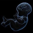 Baby_brain_280x280.jpg
