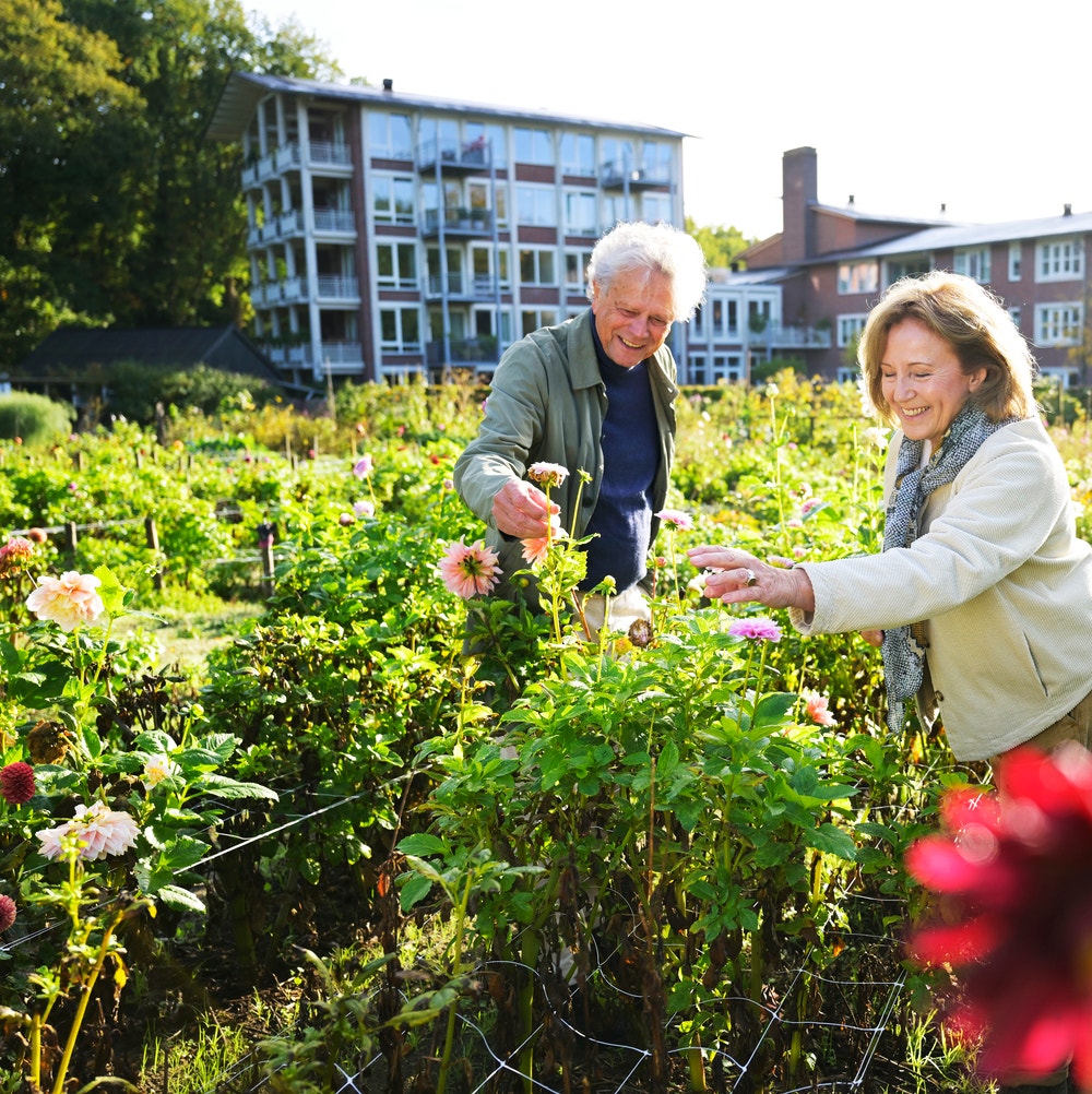 stel in gemeentetuin