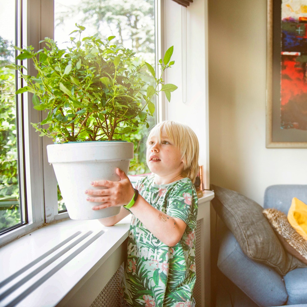 Kind met een bloempot in de woonkamer