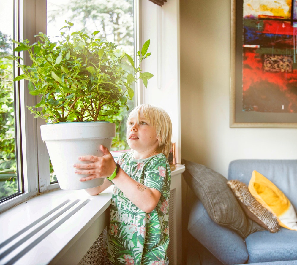 Kind met een bloempot in de woonkamer