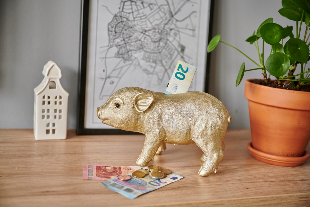 spaarvarken met contant geld