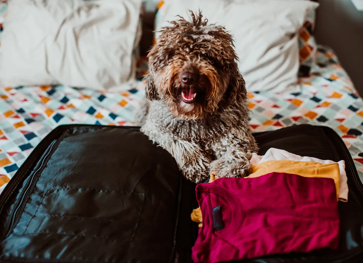 AdobeStock_270248264.jpeg