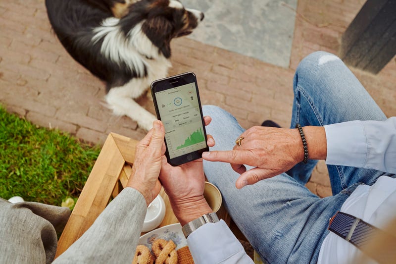 telefoon in handen in tuin met hond