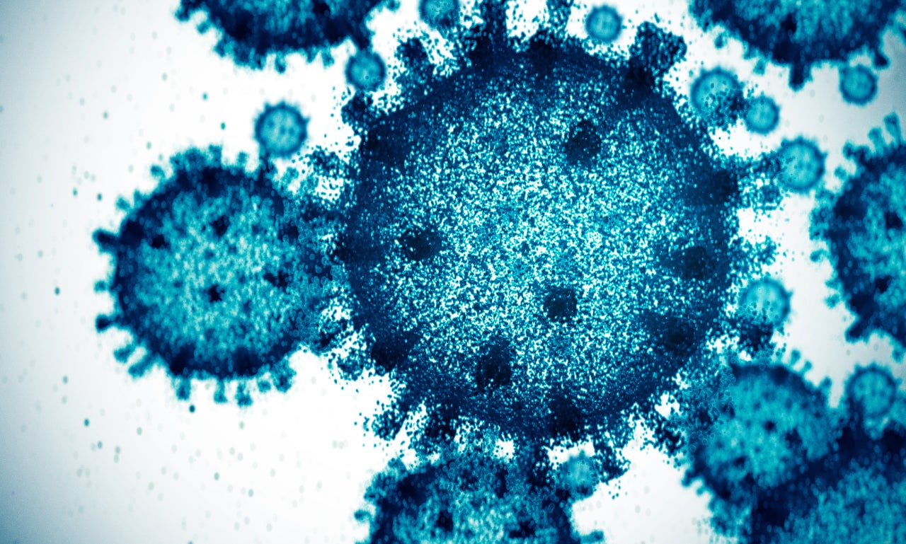 Virus durch Mikroskop