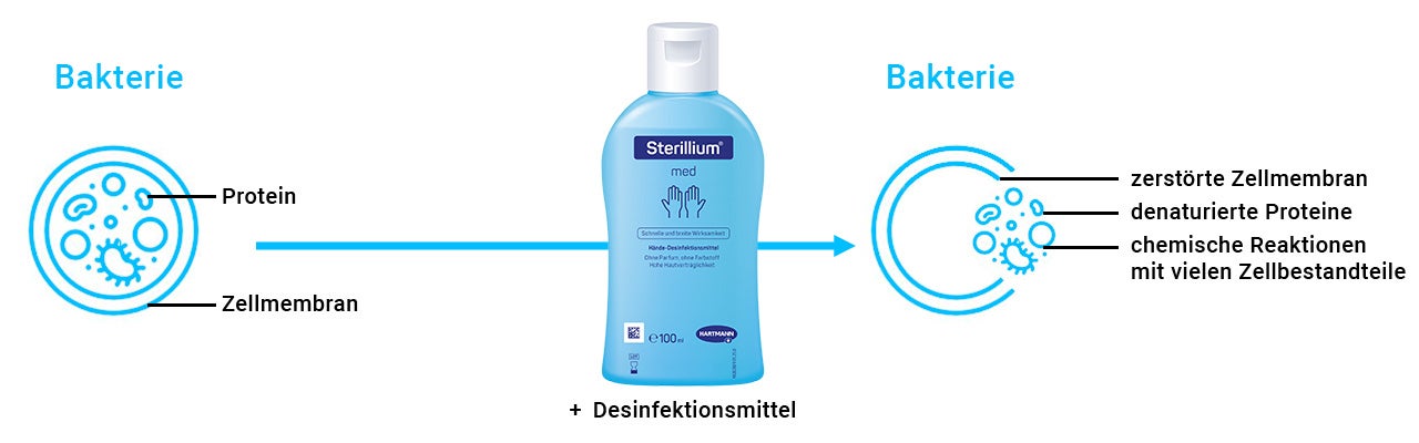 Schematische Darstellung der Wirkung eines Desinfektionsmittels: zeigt ein intaktes Bakterium, die Anwendung des Mittels und die Zerstörung der Zellstruktur durch chemische Reaktionen.
