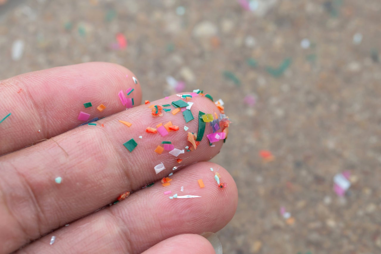 LP Bacillol30SensitiveGreenTissues microplastic ocean