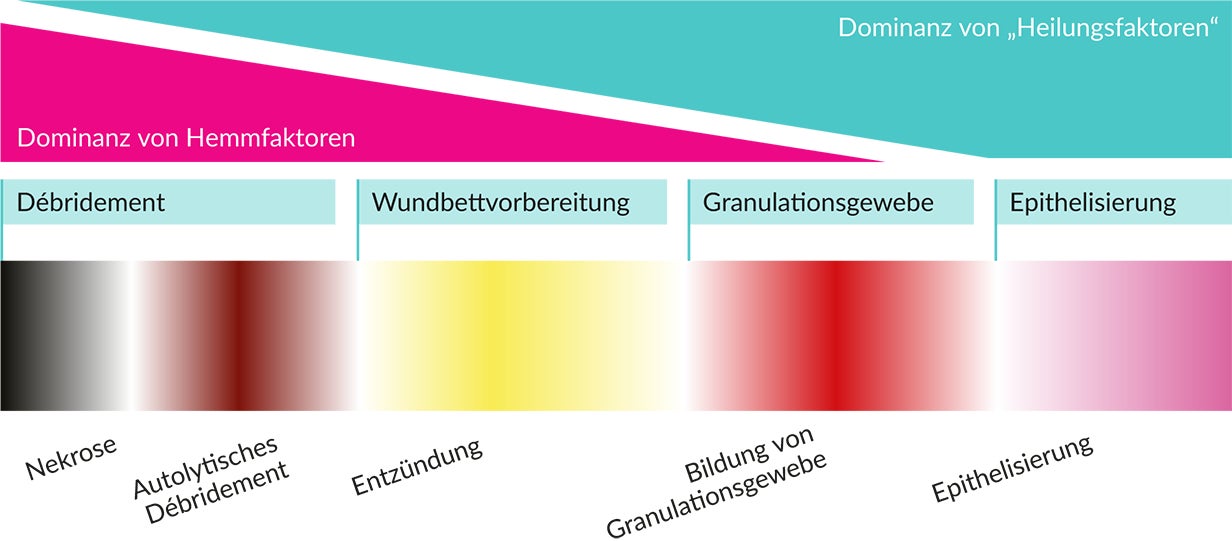 Wund-Balance-Dominanz-von-Heilungsfaktoren
