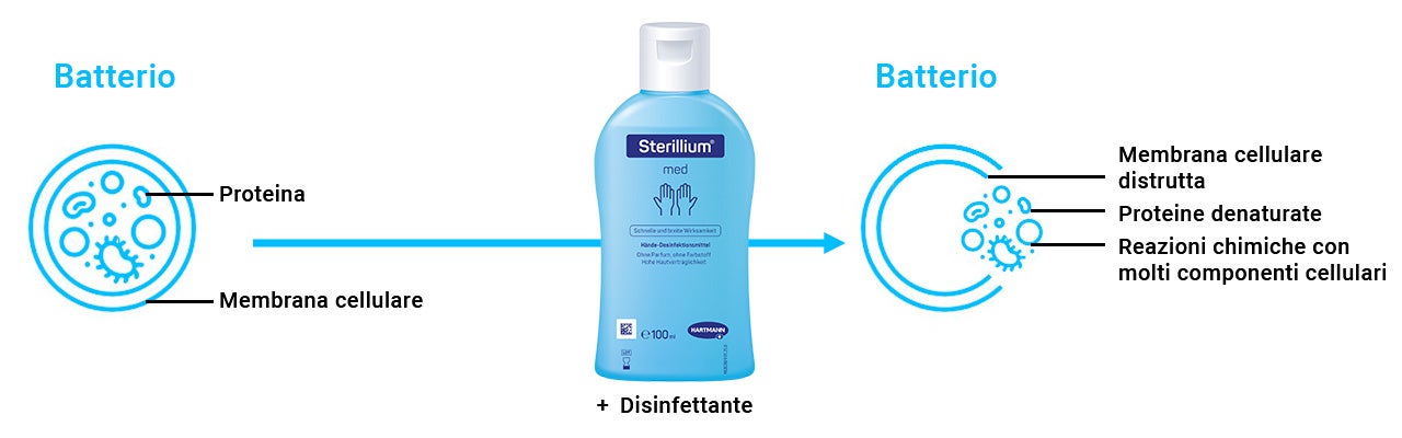 Rappresentazione schematica dell'effetto di un disinfettante: mostra un batterio intatto, l'applicazione del prodotto e la distruzione della struttura cellulare attraverso reazioni chimiche.