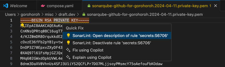 SonarLint's quick action in the editor when a secret file is open