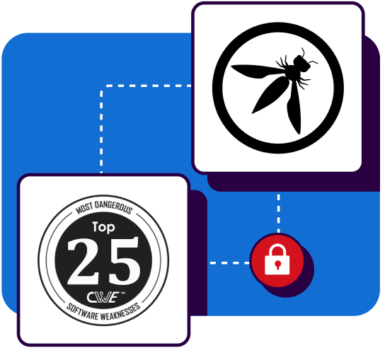 OWASP 25 certified