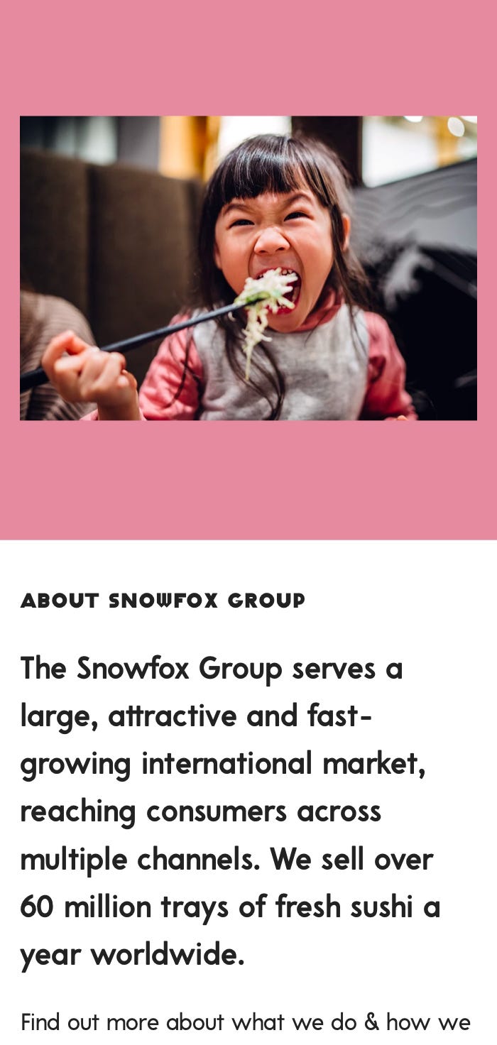 About Snowfox Group page design