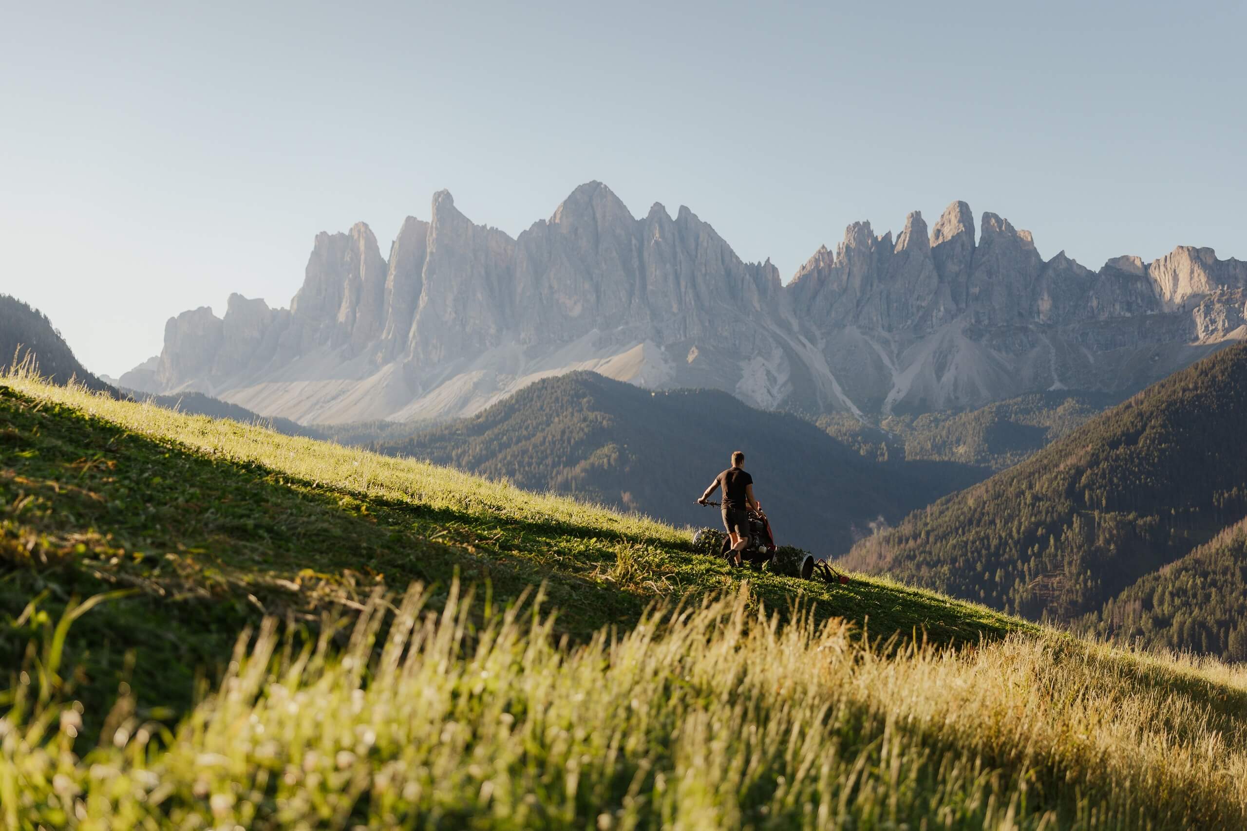 Persona tosa l’erba di un prato con le Odle dell’Alto Adige sullo sfondo
