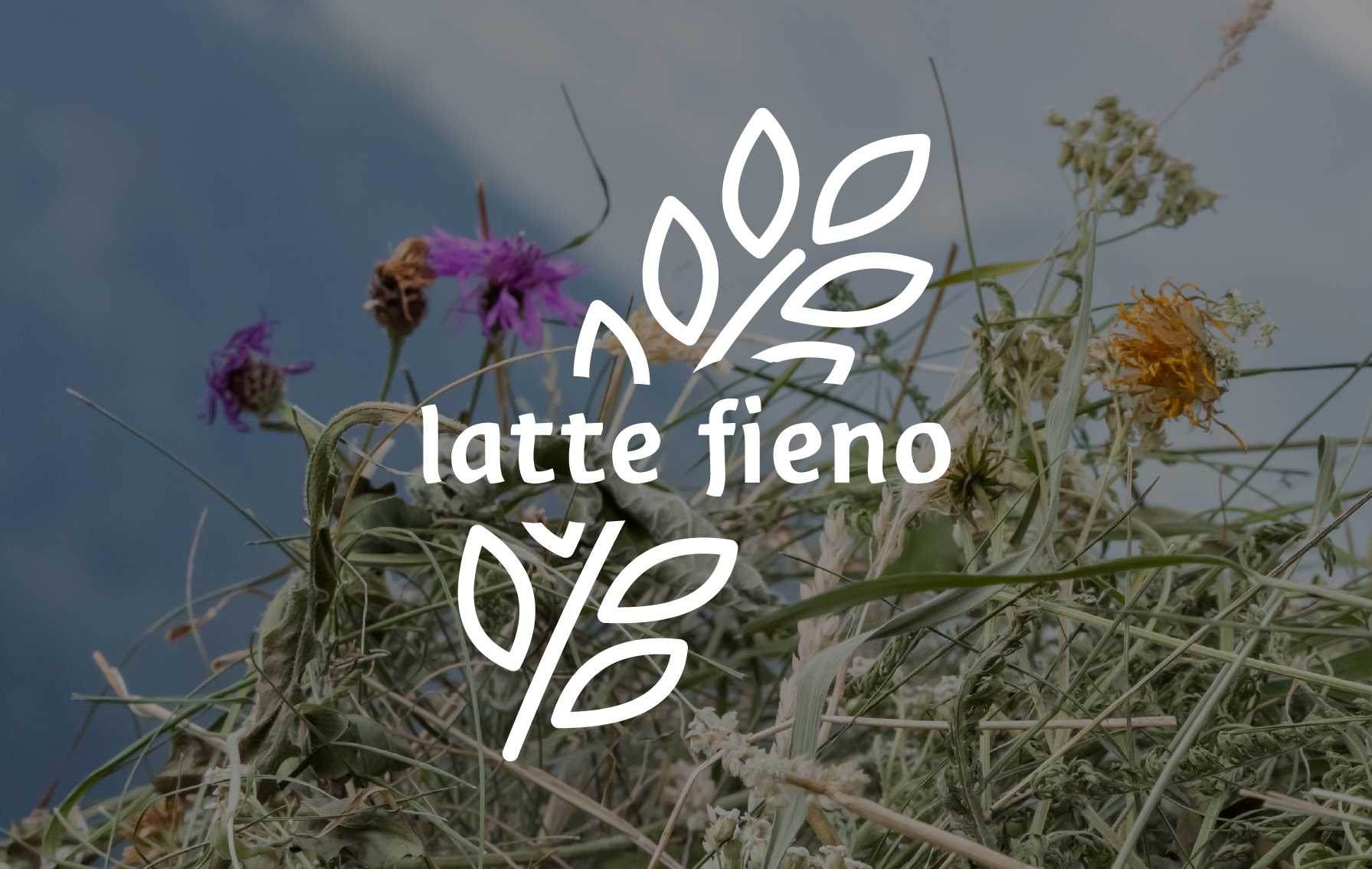 Logo bianco per il "latte fieno" su uno sfondo di erbe secche e fiori di campo.