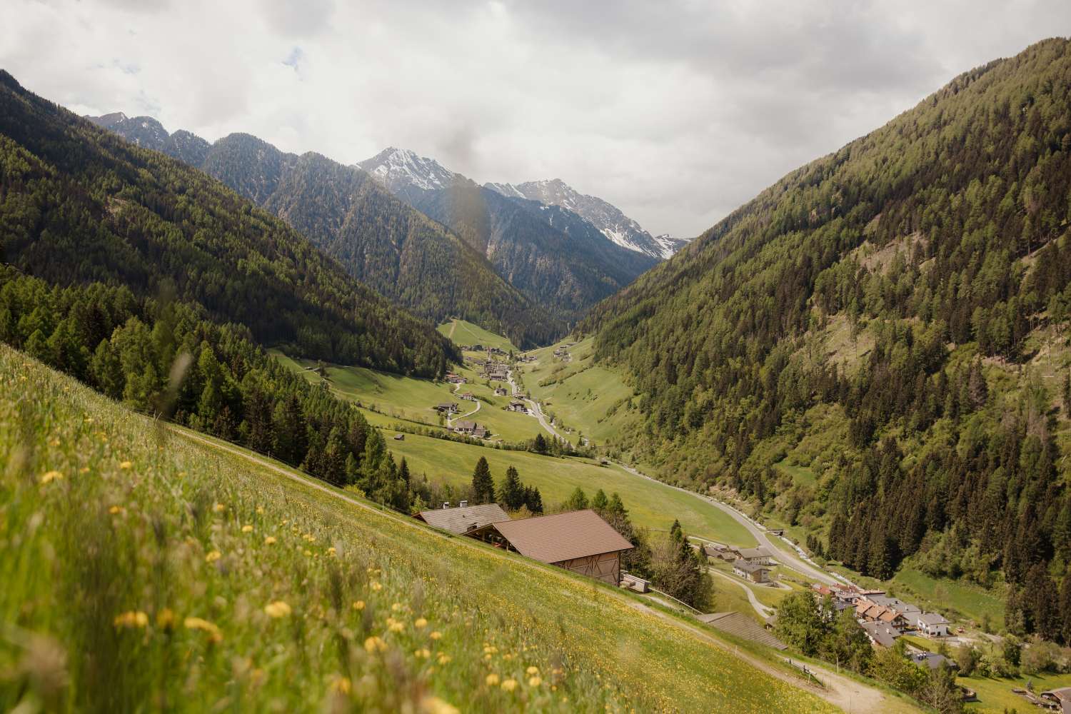 Panorama eines Alpentals mit einem kleinen Dorf, blühenden Weiden und Wäldern, umgeben von hohen Bergen.