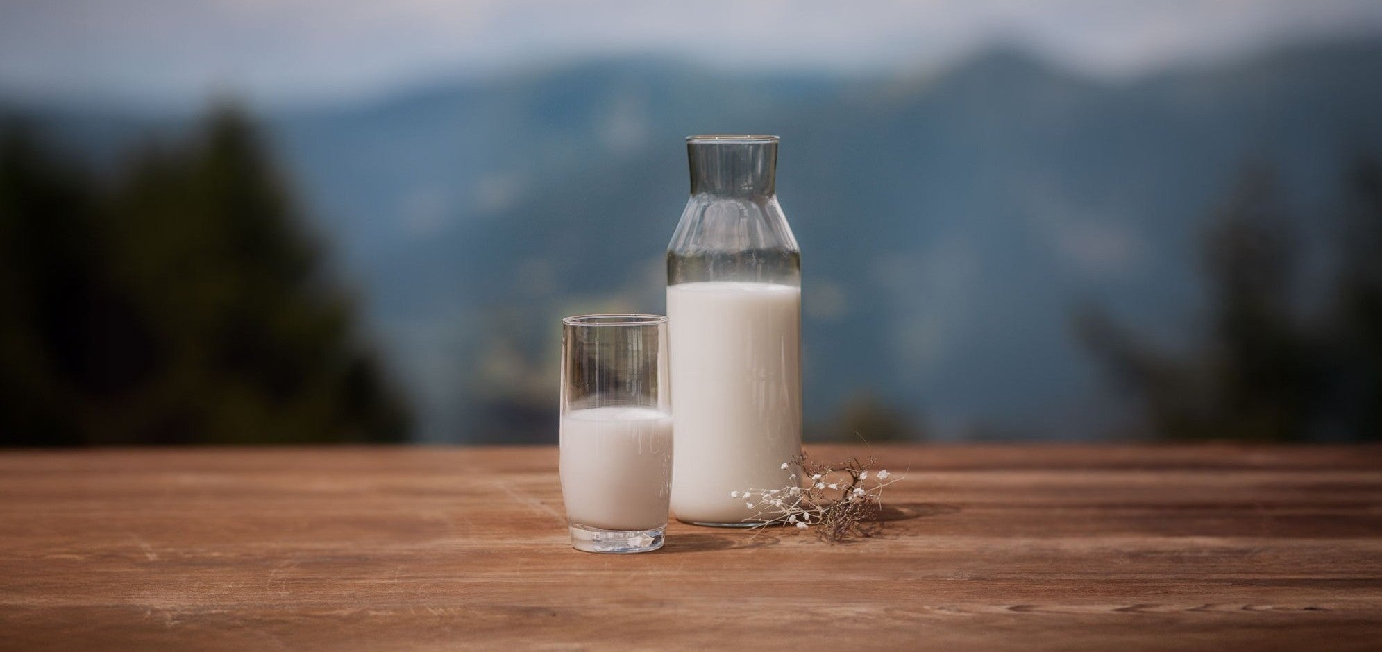 Auf einem Holztisch stehen eine Kanne und ein Glas, die beide Milch enthalten. Im Hintergrund ist eine verschwommene Berglandschaft zu sehen.