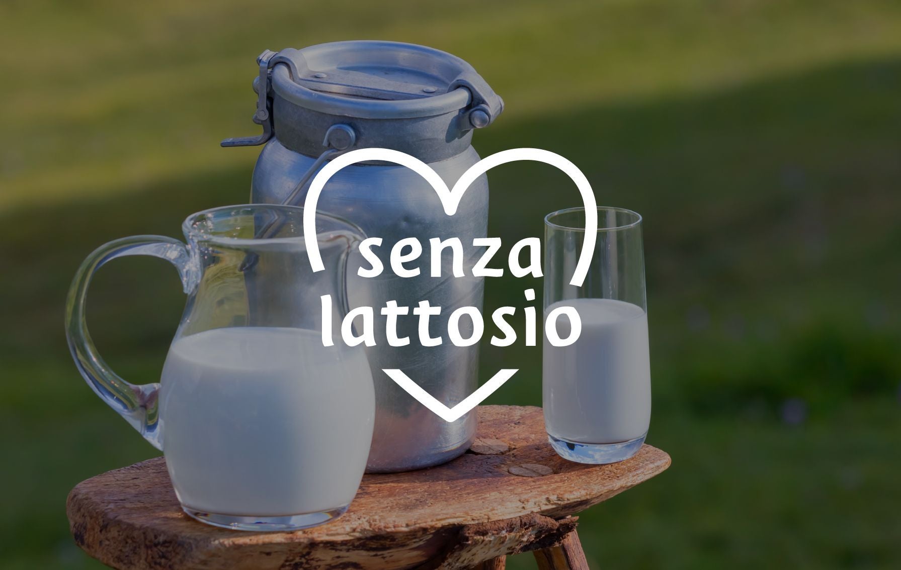 Icona "senza lattosio" con un cuore bianco su uno sfondo di una caraffa, un bricco di alluminio e un bicchiere di latte.