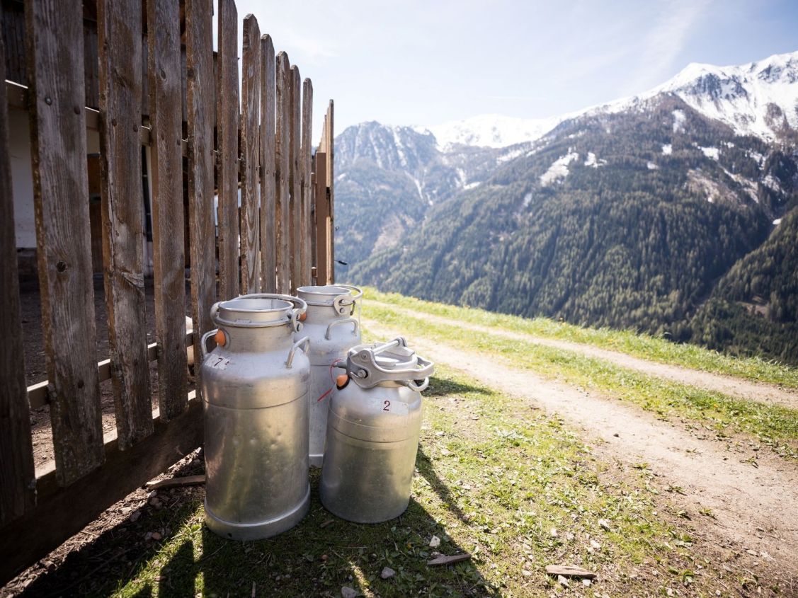 Milchkannen aus Metall, die an einem Holzzaun in den Bergen lehnen.