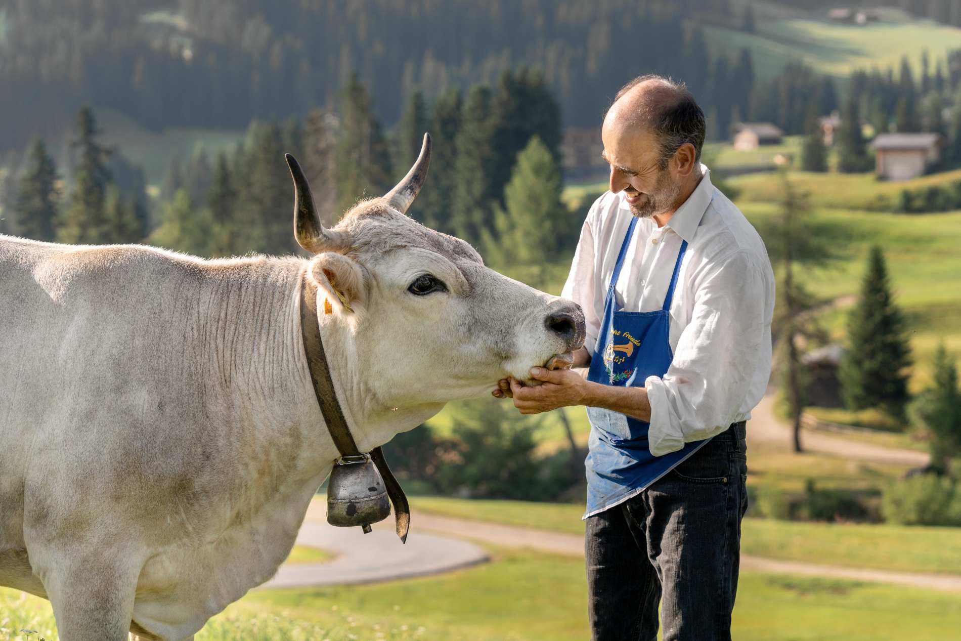 Ein lächelnder Mann in einer Schürze streichelt eine weiße Kuh auf einer Wiese.