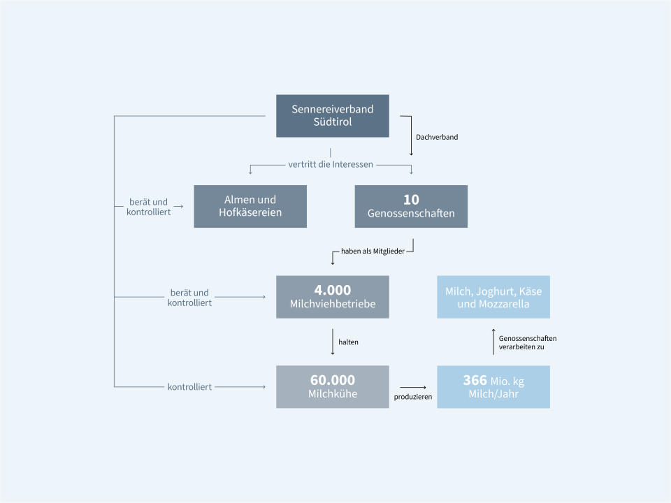 Diagramm, das die Struktur und die Aktivitäten des Südtiroler Milchkonsortiums beschreibt, beginnend mit der Organisation und endend mit der Produktion von Milch, Joghurt und Käse.