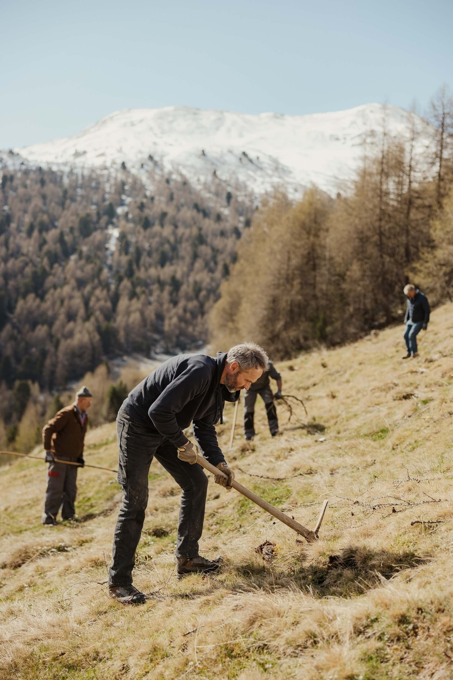 Urban Telser e uomini falciano prato in pendenza con bosco e montagne innevate sullo sfondo