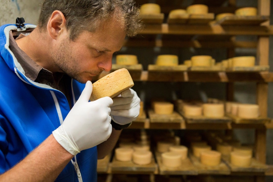 Ein Mann mit weißen Handschuhen riecht sorgfältig an einem kleinen Käselaib im Reifekeller.