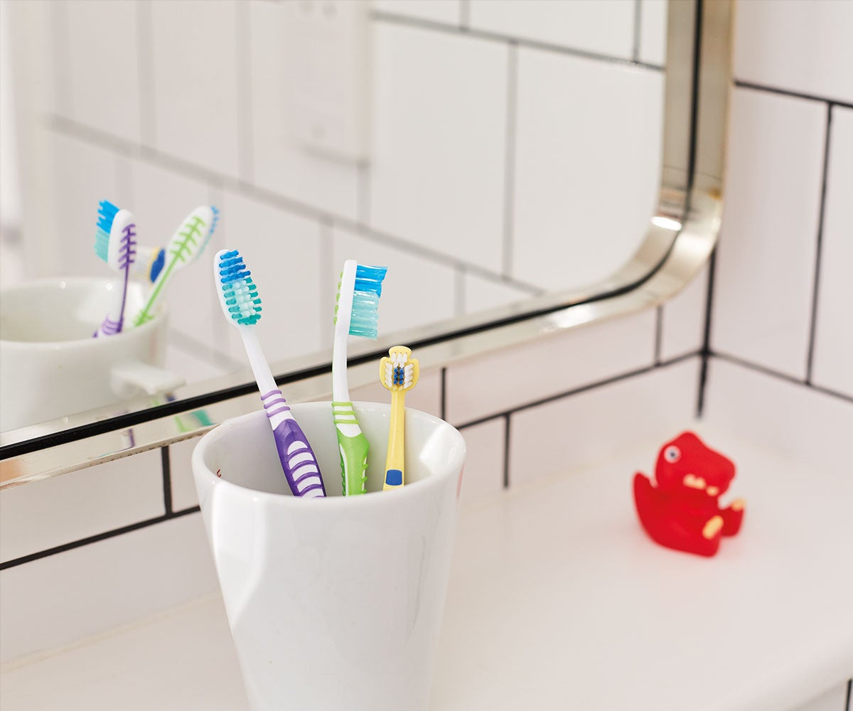 Toothbrushes in the bathroom