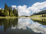 Naturpark-Almenland-Teichalm © Oesterreich-Werbung Foto Harald Eisenberger Naturpark-Almenland-Teichalm © Oesterreich-Werbung Foto Harald Eisenberger