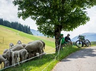 Hopfgarten-im-Brixental © Tirol-Werbung Fotograf Peter Neusser Hopfgarten-im-Brixental © Tirol-Werbung Fotograf Peter Neusser