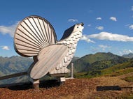 Riesneralm-bergbahnen-tierholz-park-sommer © Riesneralm.at Riesneralm-bergbahnen-tierholz-park-sommer © Riesneralm.at