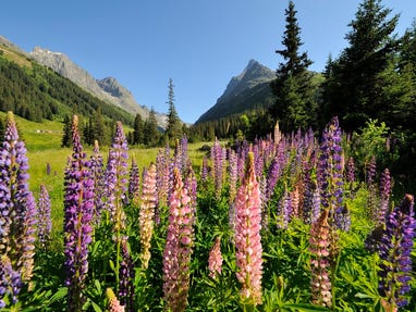 St-Anton-am-Arlberg-Verwalltal © Oesterreich-WerbungFoto Josef Mallaun St-Anton-am-Arlberg-Verwalltal © Oesterreich-WerbungFoto Josef Mallaun
