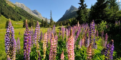 St-Anton-am-Arlberg-Verwalltal © Oesterreich-WerbungFoto Josef Mallaun St-Anton-am-Arlberg-Verwalltal © Oesterreich-WerbungFoto Josef Mallaun